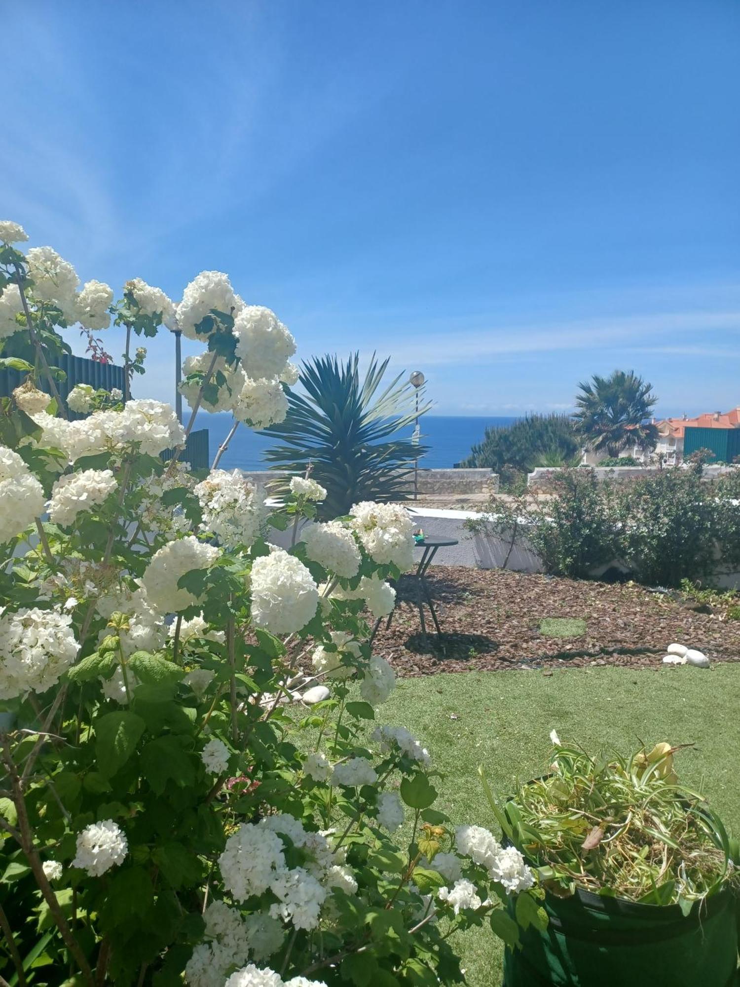 Ericeira Su Villa'S Екстериор снимка