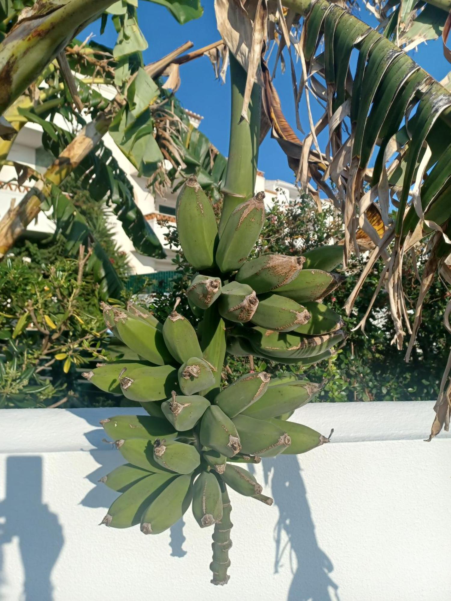 Ericeira Su Villa'S Екстериор снимка