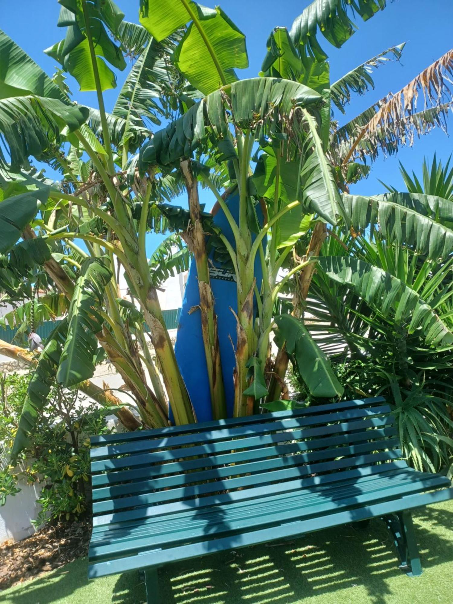 Ericeira Su Villa'S Екстериор снимка