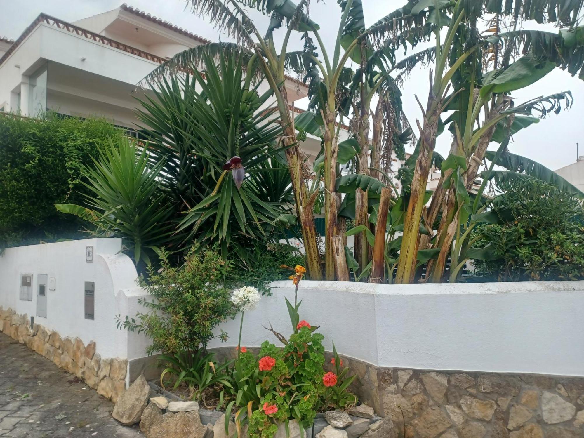 Ericeira Su Villa'S Екстериор снимка